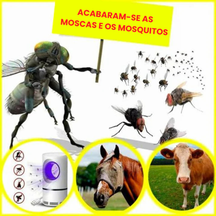 Armadilha para Moscas e Mosquitos